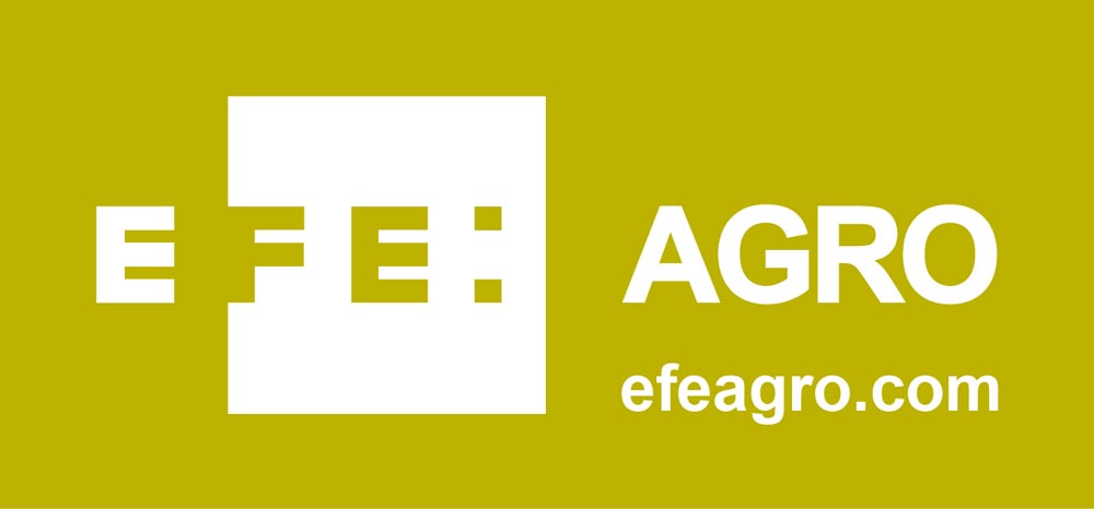 LOGO EFE Agro_negativo - Aceite de oliva Pago de espejo